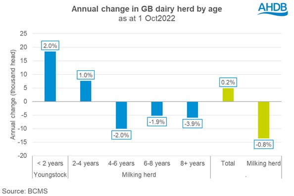 Graph of annual change in dairy herd by age
